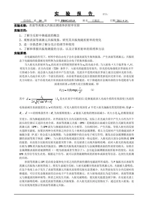 表面等离激元共振2011424200221