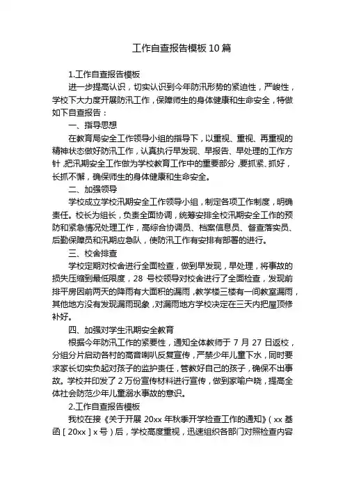 工作自查报告模板10篇