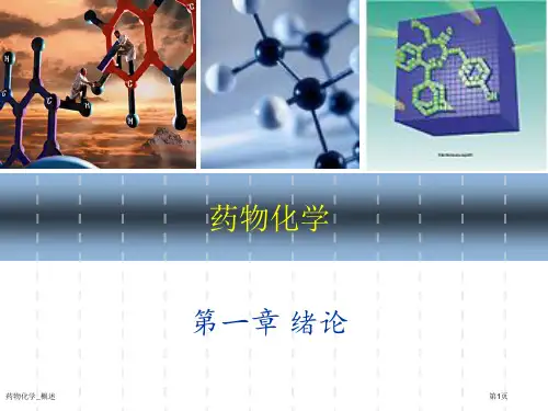 药物化学-概述专家讲座