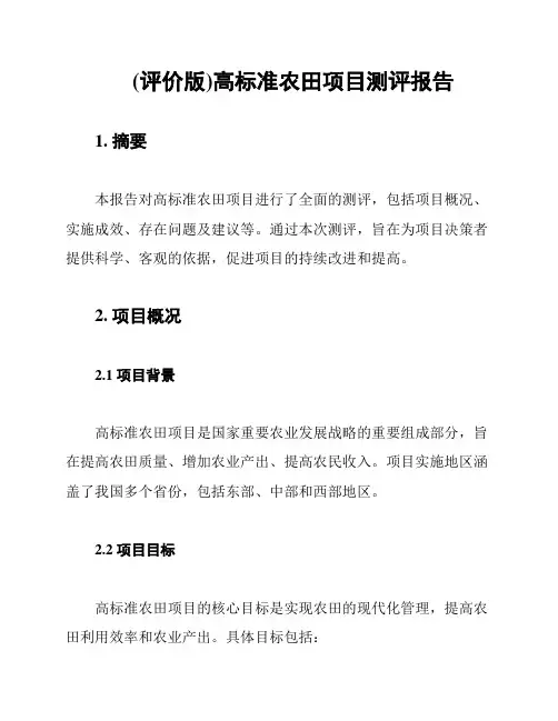 (评价版)高标准农田项目测评报告