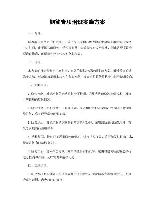 钢筋专项治理实施方案