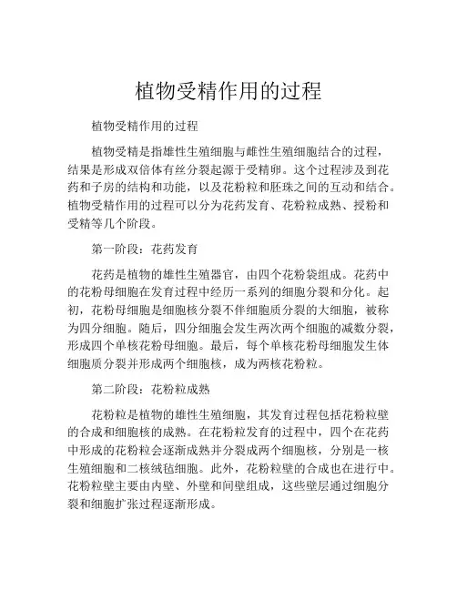 植物受精作用的过程