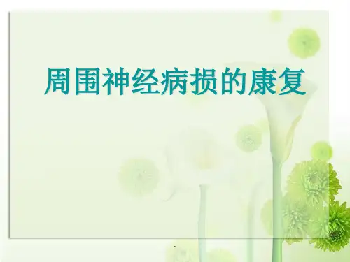 周围神经损伤的康复