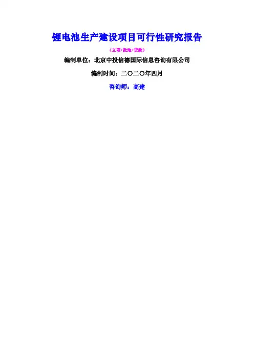 锂电池生产建设项目可行性研究报告 2