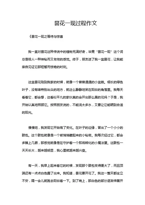 昙花一现过程作文