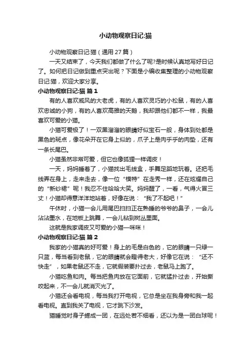 小动物观察日记：猫（通用27篇）