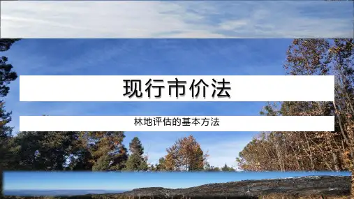 林地评估-现行市价法