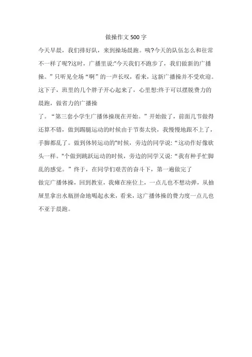 做操作文500字