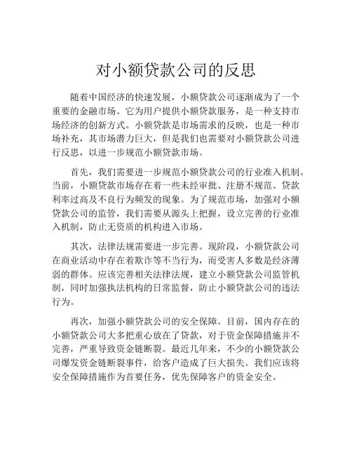对小额贷款公司的反思