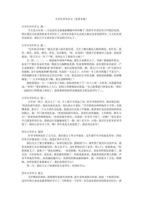 小学生拜年作文(优秀5篇)