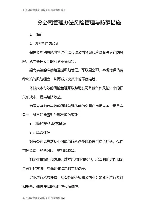 分公司管理办法-风险管理与防范措施