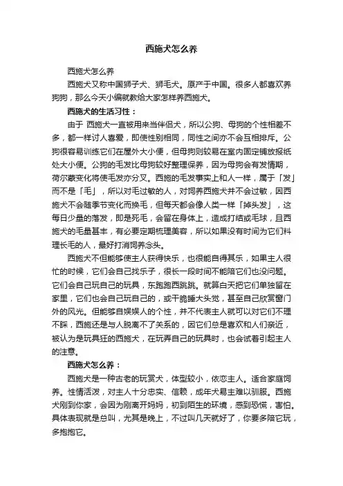 西施犬怎么养