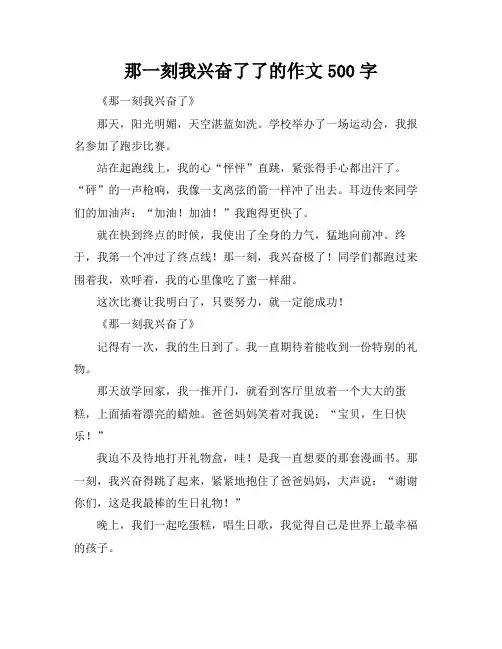 那一刻我兴奋了了的作文500字