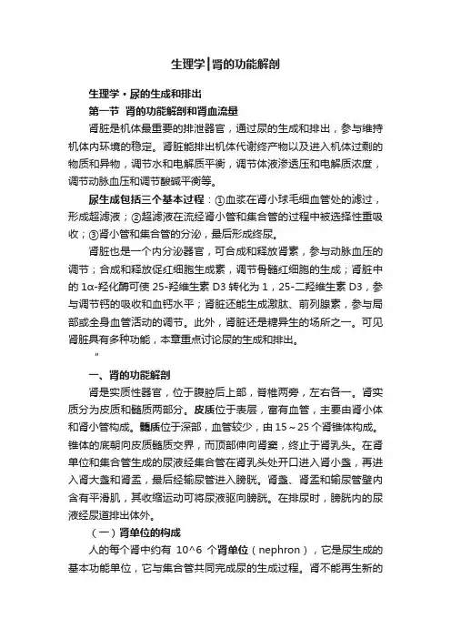 生理学┃肾的功能解剖