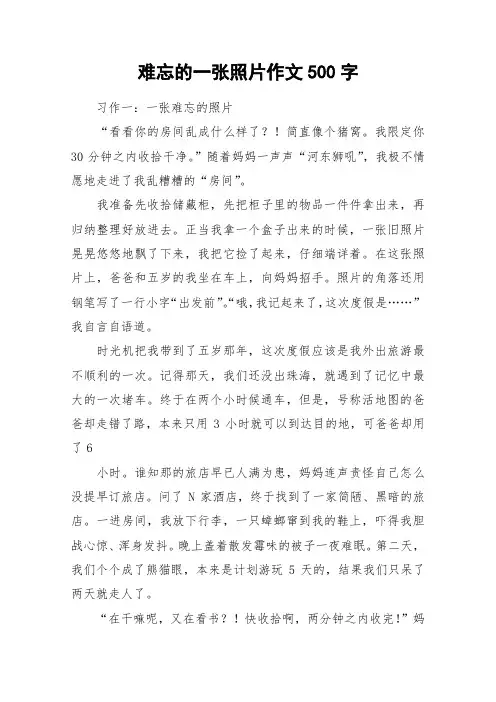难忘的一张照片作文500字_作文
