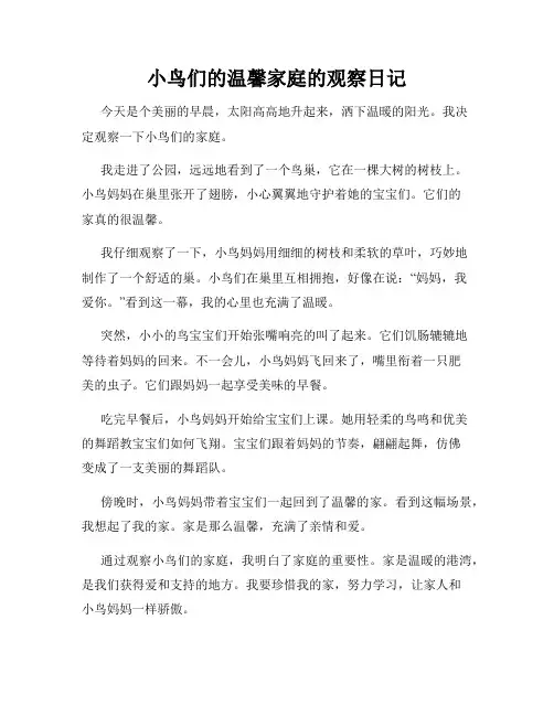 小学三年级作文小鸟们的温馨家庭的观察日记