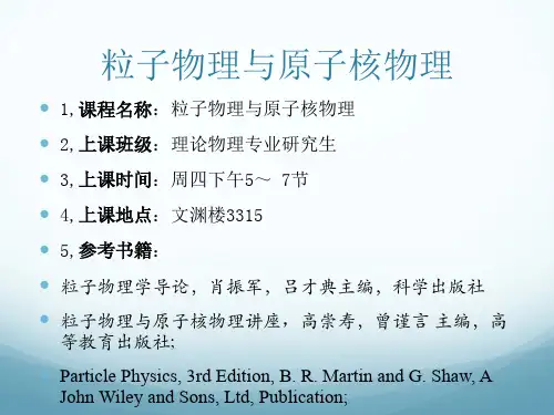 粒子物理1
