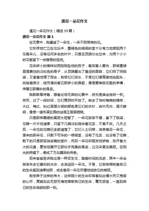 遇见一朵花作文（精选39篇）