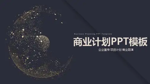 完整版-商业计划书PPT模板311