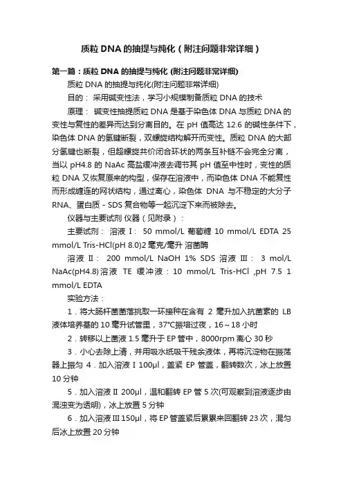 质粒DNA的抽提与纯化（附注问题非常详细）
