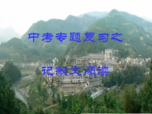 中考专题复习之记叙文阅读(小说)