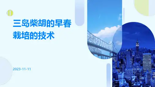 三岛柴胡的早春栽培的技术