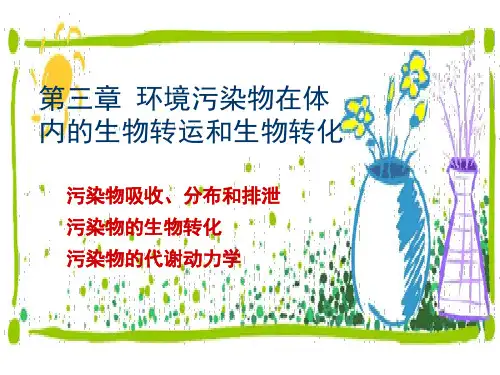 2-3 环境化学物质的吸收、分布、排泄