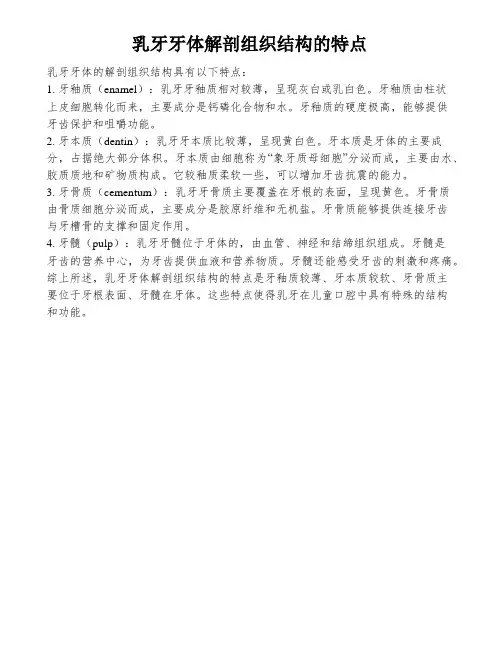 乳牙牙体解剖组织结构的特点