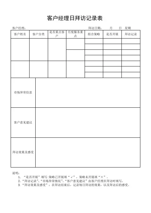 客服经理工作表格