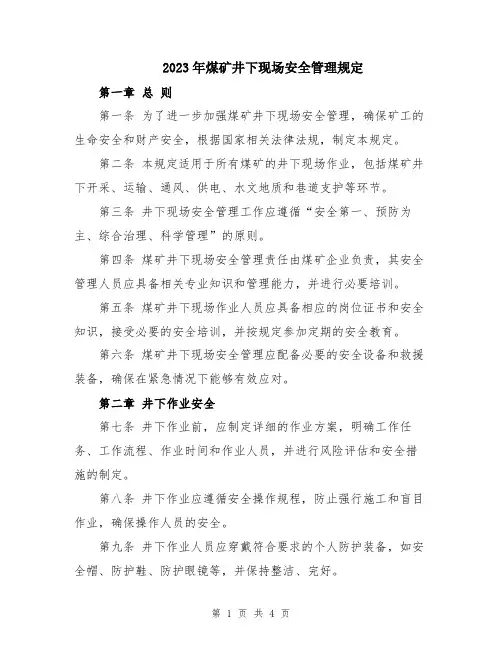 2023年煤矿井下现场安全管理规定