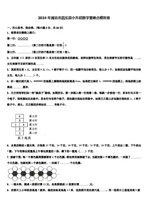 2024年潍坊市昌乐县小升初数学重难点模拟卷含解析