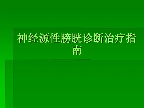 神经源性膀胱ppt模板