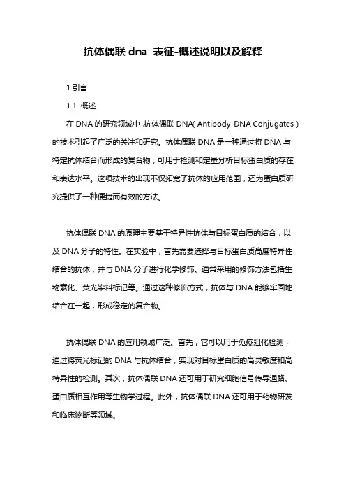 抗体偶联dna 表征-概述说明以及解释