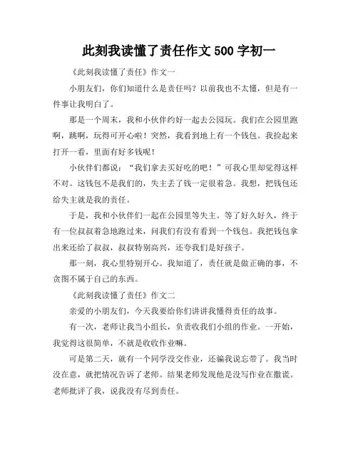 此刻我读懂了责任作文500字初一