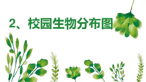 六年级上册科学课件《校园生物分布图》教科版
