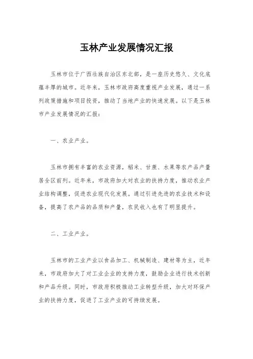 玉林产业发展情况汇报