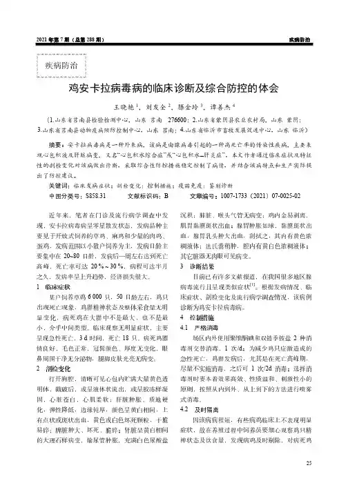 鸡安卡拉病毒病的临床诊断及综合防控的体会