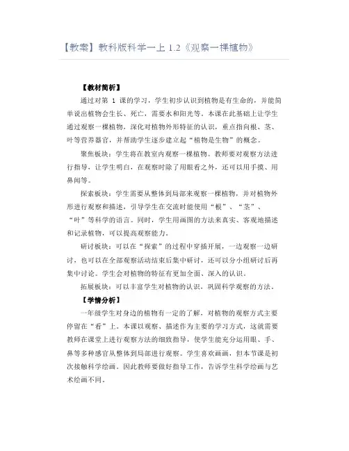 教科版科学一上《观察一棵植物》教案