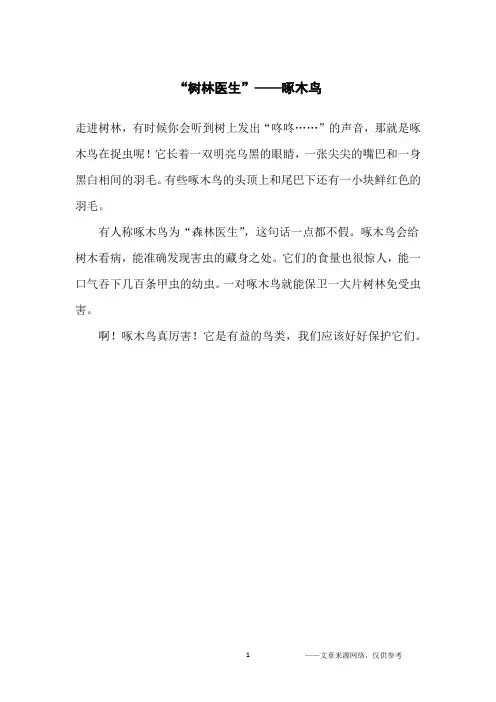 “树林医生”——啄木鸟_小学生