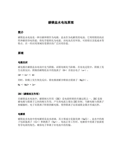 碳镁盐水电池原理