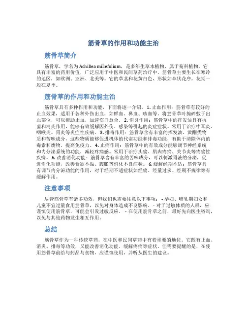 筋骨草的作用和功能主治