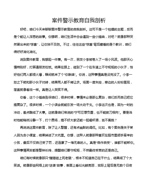 案件警示教育自我剖析