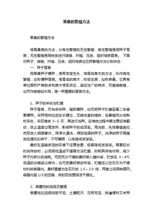 果桑的繁殖方法