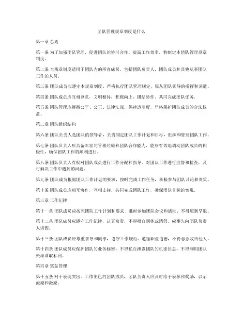 团队管理规章制度是什么