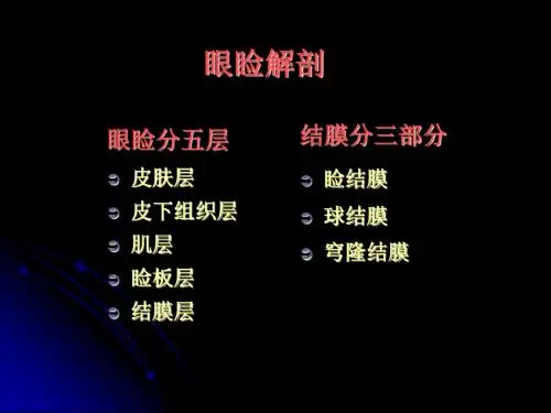 眼睑病 PPT课件