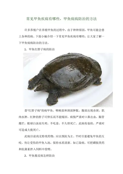 常见甲鱼疾病有哪些,甲鱼病病防治的方法