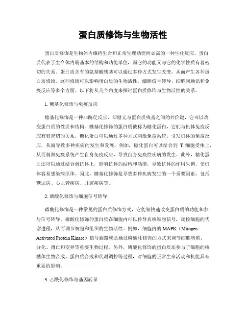 蛋白质修饰与生物活性
