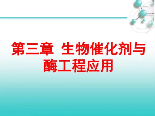 第三章_生物催化剂与酶工程应用.ppt