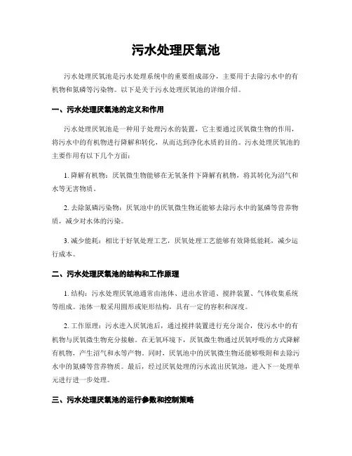 污水处理厌氧池