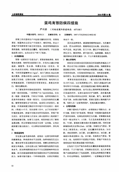 蛋鸡育雏防病四措施